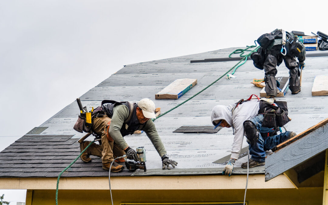 Granules in Your Gutters After Fall Rain in Olive Branch: What It Means