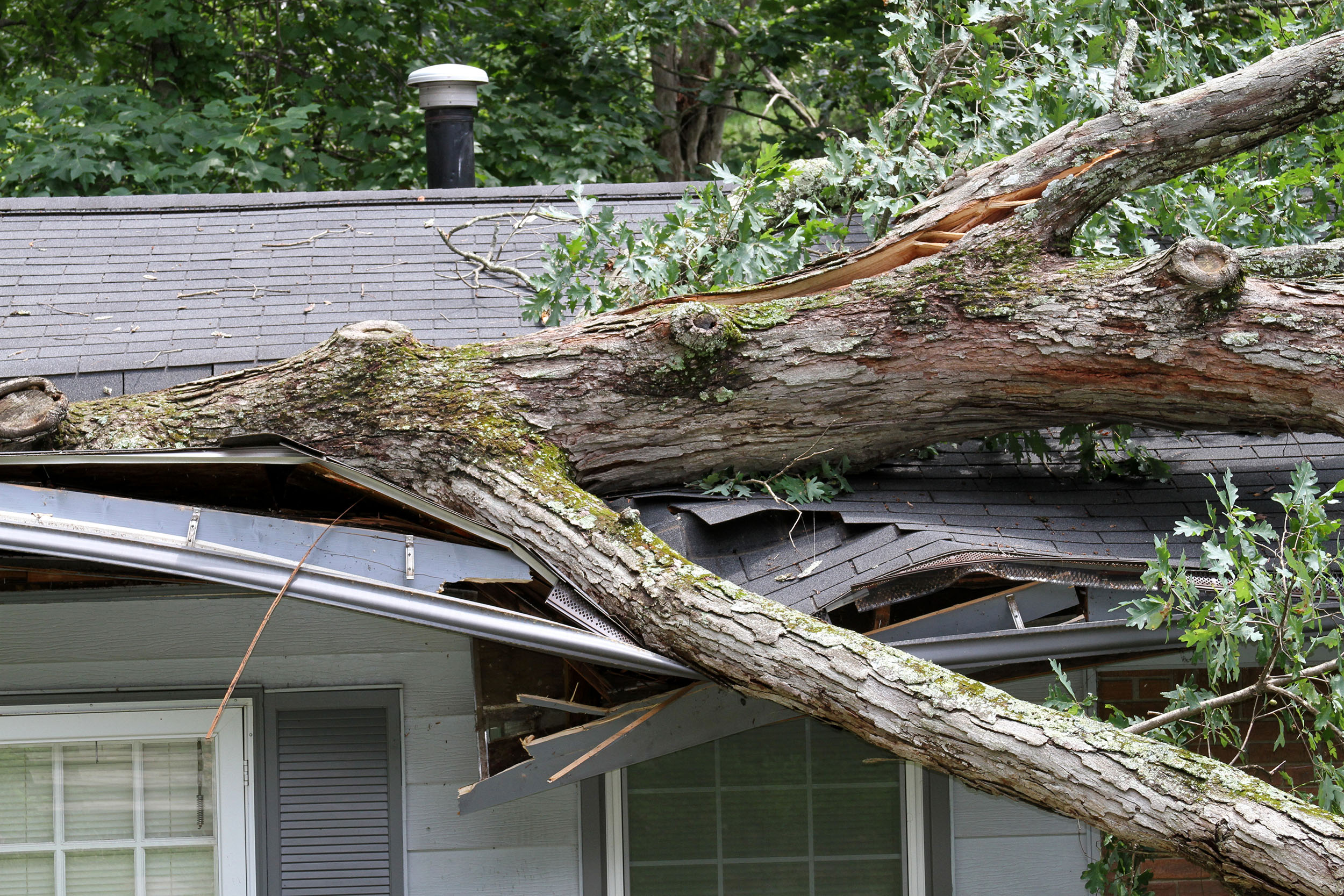A home in Cordova, TN, in need of roof restoration after a storm
